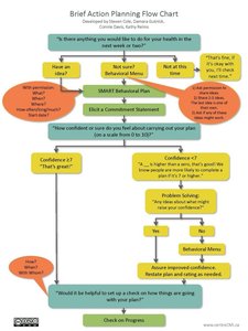 Brief Action Planning Flow Chart