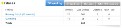 Fitness log screenshot