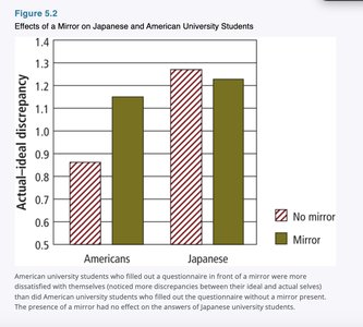 Effects of a Mirror on Japanese and American University Students