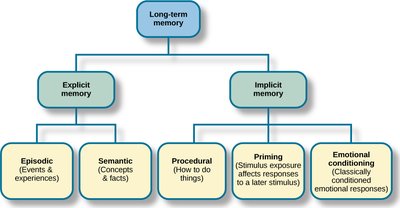 Diagram of explicit and implicit memory types