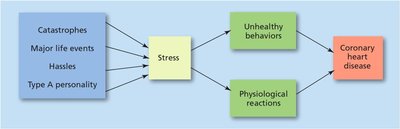 Stress and coronary heart disease
