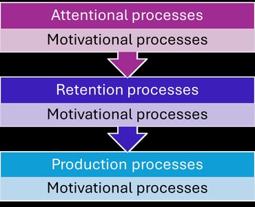 The steps of Observational Learning