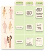 Table comparing biological, psychological, and sociocultural perspectives