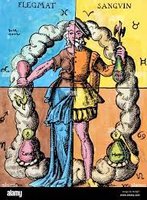 Illustration of the four temperaments