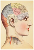 Phrenology map of the brain