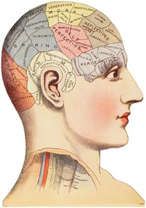 Diagram of phrenology head