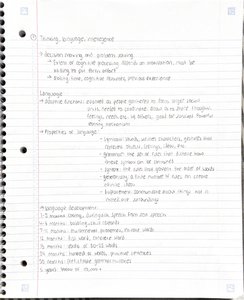 Handwritten notes on thinking, language, and intelligence