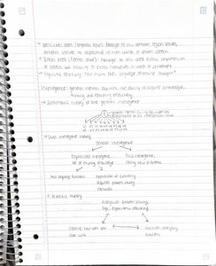 Handwritten notes on intelligence theories and diagram