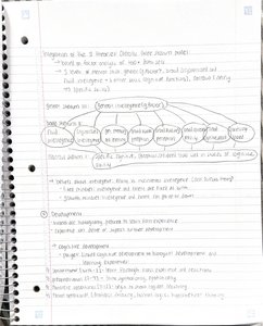 Handwritten notes on development and Piaget's stages