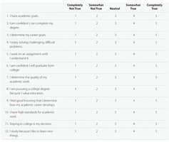 Academic Intrinsic Motivation Scale table