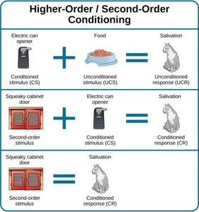 Higher-order conditioning diagram