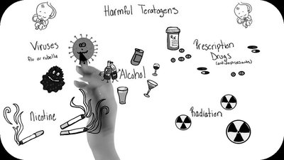 Harmful Teratogens: Alcohol, nicotine, viruses, prescription drugs, radiation