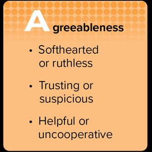 Agreeableness trait description