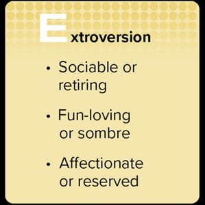 Extraversion trait description