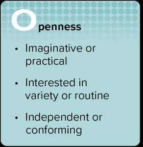 Openness trait description