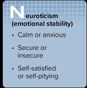 Neuroticism trait description