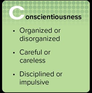 Conscientiousness trait description