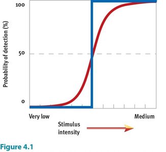 Graph showing probability of detection as a function of stimulus intensity, illustrating the concept of absolute threshold