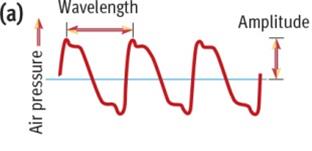Diagram showing sound wave with labeled amplitude and wavelength