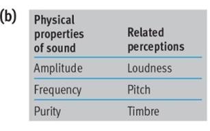 Table relating physical properties of sound to perceptions: amplitude-loudness, frequency-pitch, purity-timbre
