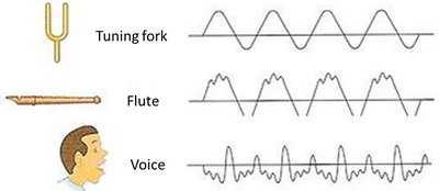 Comparison of waveforms from tuning fork, flute, and voice, illustrating timbre