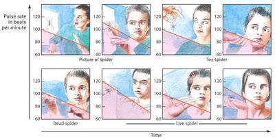 Systematic desensitization pulse rate chart
