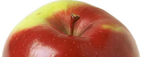 Red apple