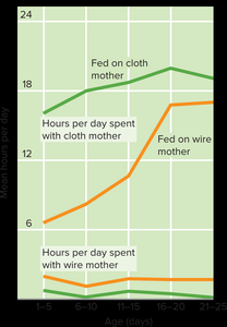 Graph of time spent with cloth vs. wire mother in Harlow's experiment