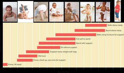 Timeline of infant motor milestones