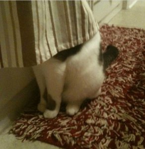 Three-mountain task illustrating egocentrism