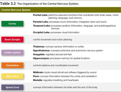 CNS protection diagram
