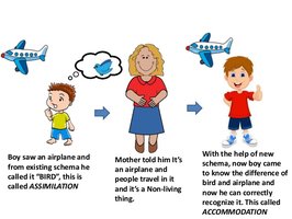 Assimilation and Accommodation Example
