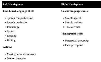 Table comparing left and right hemisphere functions