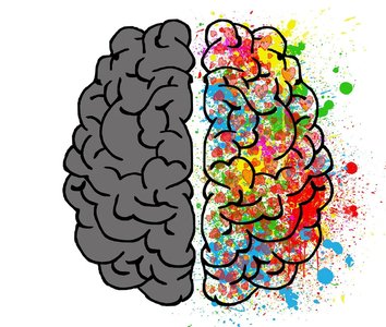 Left and right brain hemispheres, with the right side colorful and the left side gray, symbolizing different functions