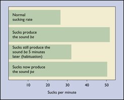 Bar graph showing infant sucking rate in response to different phonemes