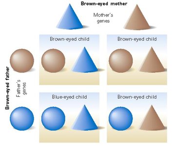 Child with blue eyes and dark skin