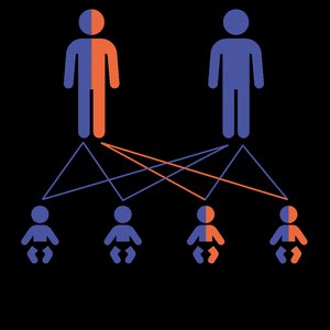 Color vision comparison: normal vs. color blind