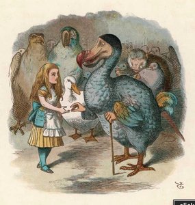 Illustration of the Dodo bird from Alice in Wonderland, representing the Dodo bird verdict in psychotherapy