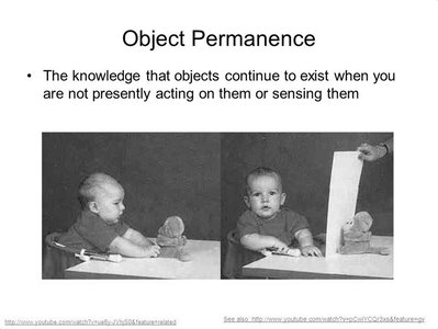 Object permanence experiment