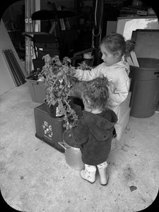 Children helping each other, illustrating early social understanding