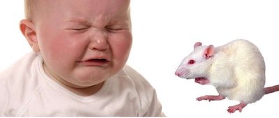 Little Albert experiment