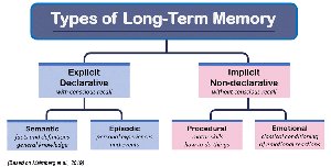 types of long-term memory, explained in the appendix