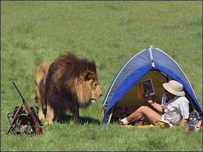 A person in a tent with a lion nearby, illustrating a major life stressor
