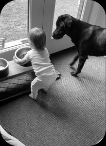 Early social understanding: fairness