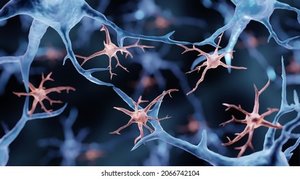 Microglia in neural tissue
