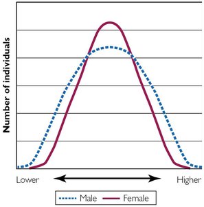 Graph showing variability in IQ scores by sex