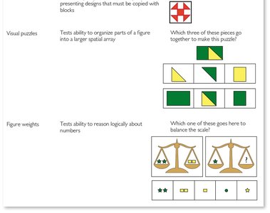 WAIS sample items table part 2
