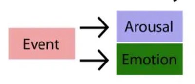 Cartoon of a person with arousal after drinking coffee