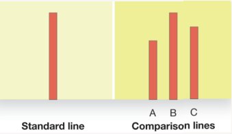 Asch's line experiment: standard and comparison lines