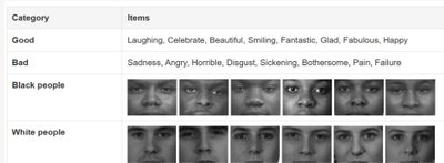 IAT categories and sample items